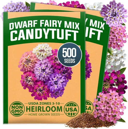 Vista 25 de HOME GROWN Semillas de Hollyhock de doble mezcla de Chater, 200 semillas