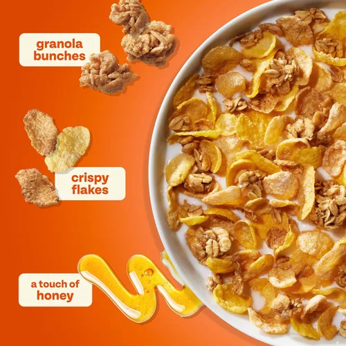 Vista 6 de Miel manojos de avena Honey Roasted, 2.1-ounce (12 unidades) Desayuno o merienda fácil para llevar