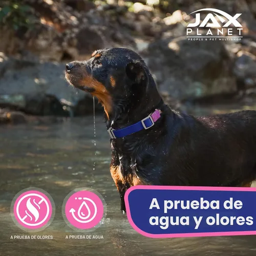 Vista 6 de Jelly - Collar para perro martingala impermeable, collar de nailon sin tirones con hebilla de metal de aleación y anillo en D para entrenamiento