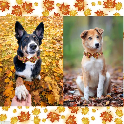 Vista 2 de Unique style paws - Collar de otoño para perros con lazo, collar para cachorros, regalo para mascotas, collar ajustable para perro, collares