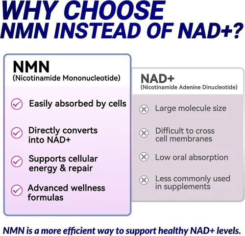 Vista 4 de Suplemento NMN de 1000 mg por porción, 99.9% mononucleótido de nicotinamida pura, NAD+ apoya la energía celular y el envejecimiento saludable