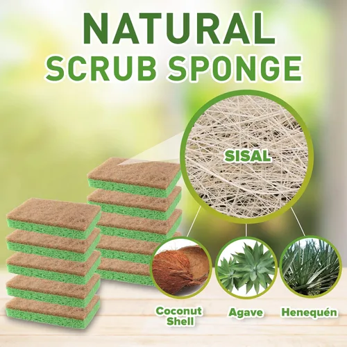 Vista 2 de SCRUBIT Paquete de 24 esponjas naturales – Esponjas naturales biodegradables compostables de celulosa y coco para platos, esponja de cocina