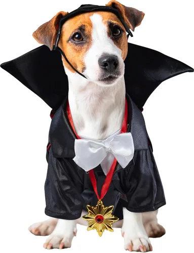 Vista 2 de Rubies disfraz de la colección de monstruos de películas clásicas para perro