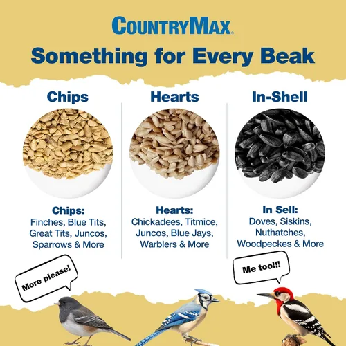 Vista 4 de CountryMax Backyard Seeds - Semillas de girasol de aceite negro para aves silvestres, bolsa de 25 libras, alimento de alta energía para cardenales