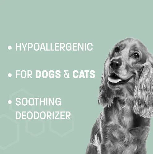 Vista 4 de Toallitas de aloe y avena para mascotas para gatos y perros, toallitas para patas y traseros, toallitas de limpieza suave para la piel y el pelaje