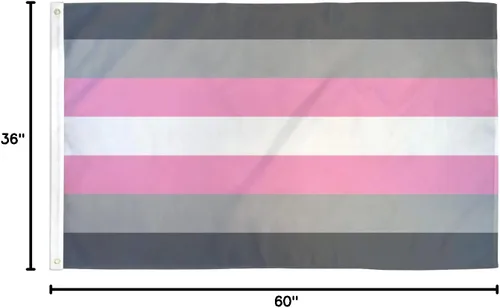 Vista 4 de Bandera demisexual Girl Demi Girl Pride de 3 x 5 pies de poliéster, perfecta para mostrar tu orgullo de apoyo comunitario. Polietileno de 3 x 5 pies
