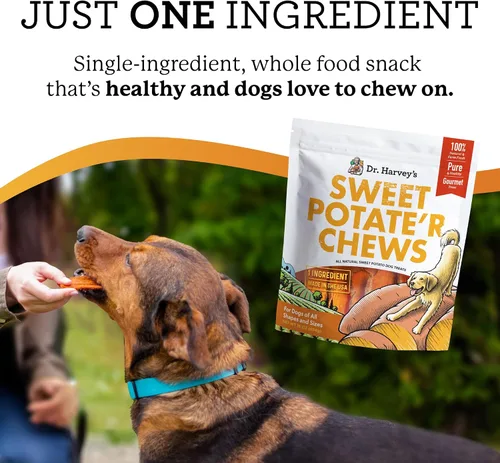 Vista 3 de Dr. Harvey's Masticables de batata para perros, golosinas para perros pequeños, medianos y grandes, aperitivos naturales para entrenamiento, dientes