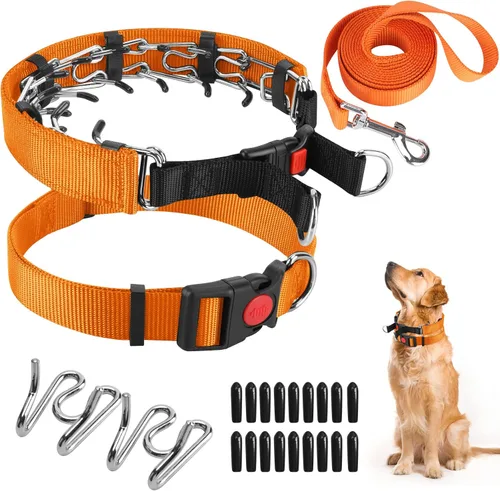 Vista 30 de Collar de entrenamiento de puntas con puntas cómodas y hebilla de cierre rápido – Collar de pellizco para perro con cubierta de nailon