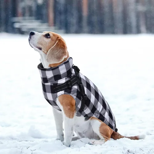 Vista 5 de Chaqueta de invierno para perro, abrigo impermeable para perro con arnés integrado, chaleco para cachorros, ropa para mascotas pequeñas con forro