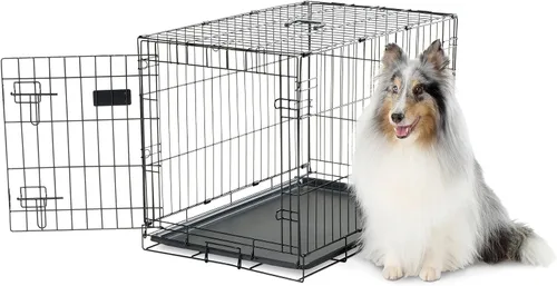 Vista 19 de Jaula de perro Carlson segura y compacta de doble puerta de metal, mediana con panel divisor