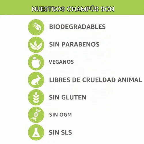 Vista 5 de Phillip Adam Champú sin fragancia, sin sulfato y sin parabenos, equilibra el pH del cabello y el cuero cabelludo, 12 onzas