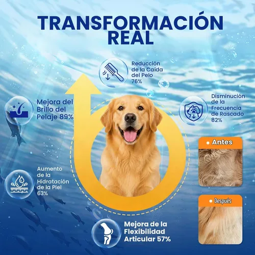 Vista 3 de Suplemento de Omega 3 para piel y pelaje para perros 200 masticables, suplementos de aceite de pescado para perros con ácidos grasos EPA y DHA