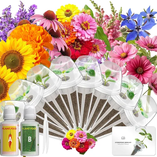 Vista 10 de Hydroponics - Vaina de semillas con albahaca genovesa y albahaca morada, kit completo de 8 cápsulas con esponja, canasta, cúpula, etiqueta