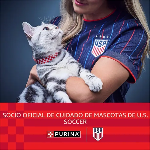 Vista 2 de Purina Fancy Feast Broths, comida húmeda clásica para gatos, 1.4 onzas, paquete de 12