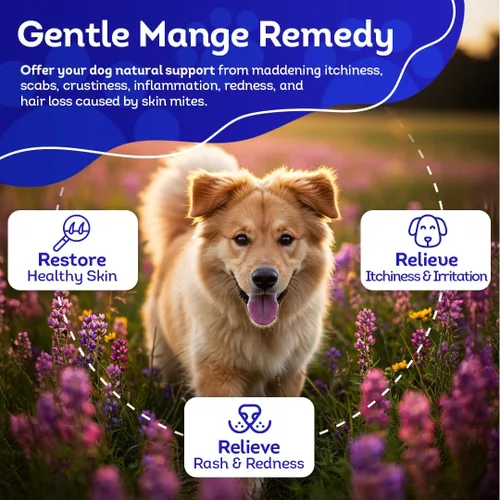 Vista 4 de HA4E - Alivio de la mancha para perros - Tratamiento para picazón, costras y pérdida de cabello causada por ácaros - Totalmente natural