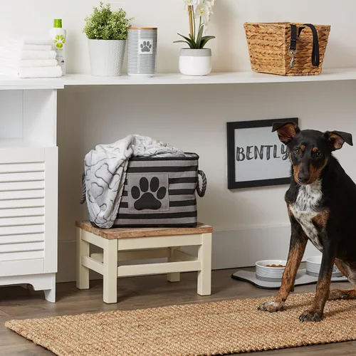 Vista 79 de Bone Dry - Cesta de almacenamiento para mascotas, diseño de parche de pata rayado, aguamarina, rectángulo pequeño