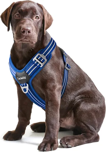 Vista 21 de Arnés sin tirones para perro, chaleco reflectante ajustable con broche de metal, malla suave transpirable sin estrangulamiento para cachorro, fácil