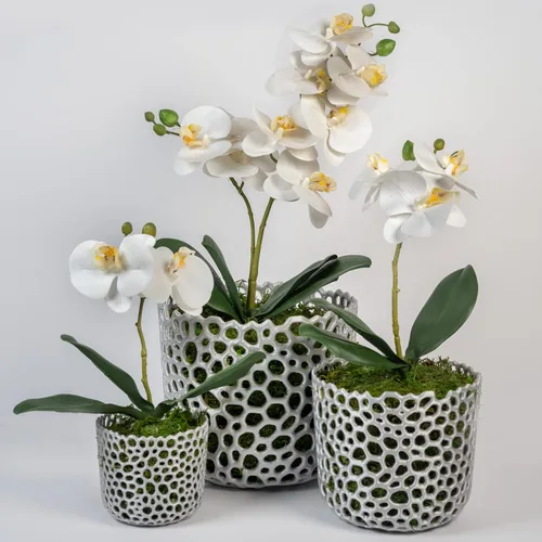 Vista 4 de Maceta cilíndrica de malla para orquídeas, maceta de orquídea, maceta de orquídea, maceta de orquídeas, maceta para plantas de aire, maceta