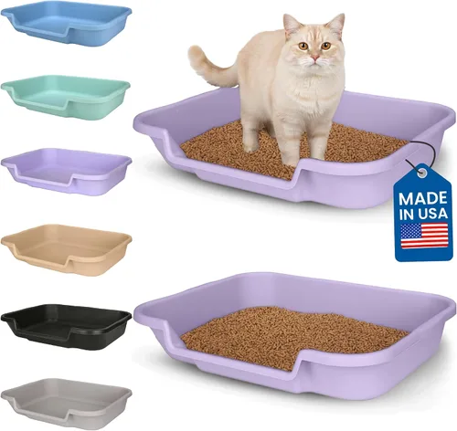 Vista 11 de KittyGoHere - Caja de arena para gatos mayores, sartén pequeña con cuchara jumbo de mango largo, caja de arena para gatos de entrada baja, ligera