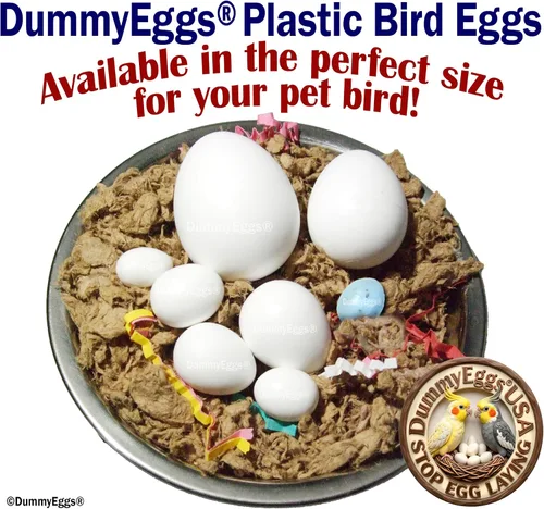 Vista 7 de para Canary. Reemplaza los huevos colocados con plástico, engaña a tu pájaro cada vez! 3/4 pulgadas x 5/8 pulgadas (0.728 x 0.591 in) 7