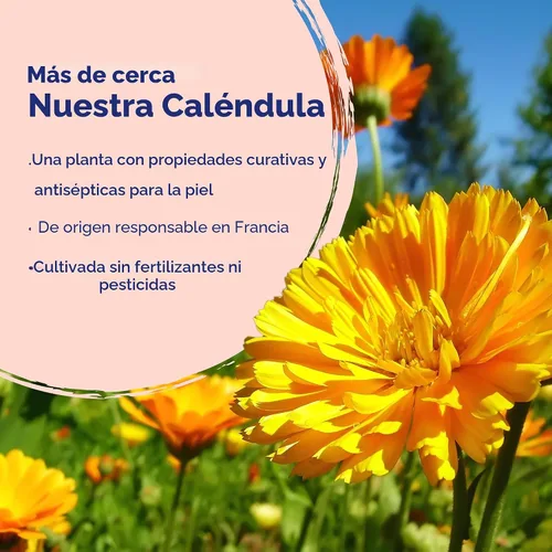 Vista 5 de Crema de caléndula, 2.5 oz, ABO-090, Default, 1, 1