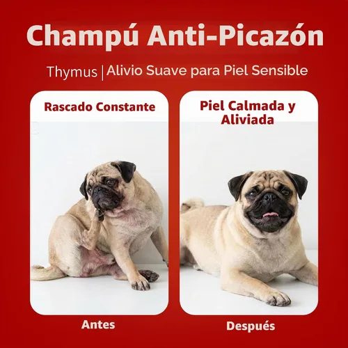 Vista 2 de Arf Arf Champú para perros de piel sensible – Avena y litospermum, picazón, 16.9 oz