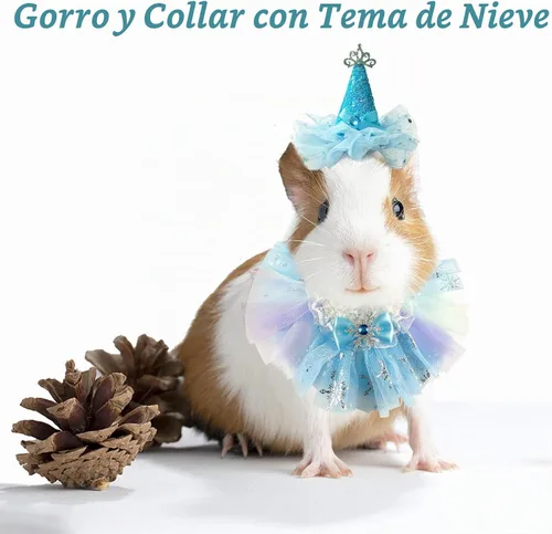 Vista 7 de Disfraz de princesa de cumpleaños de animales pequeños para conejo, conejillo de indias, corona de sombrero, falda tutú, sombrero de princesa