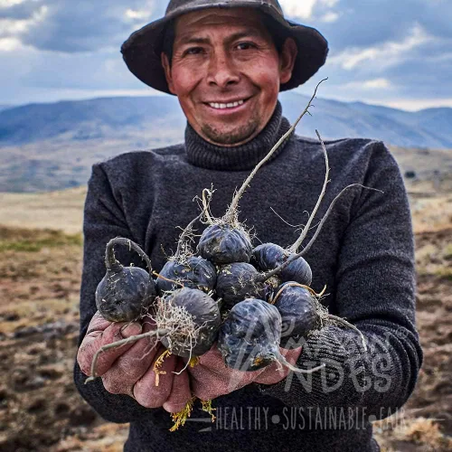 Vista 6 de Cápsulas de maca negra, roja y amarilla premium l 3000 mg que sirven para mayores niveles de energía y rendimiento físico l Potente antioxidante
