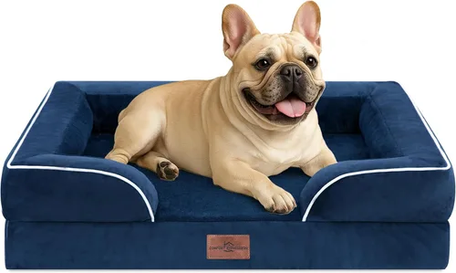 Vista 213 de Comfort Expression - Cama ortopédica para perros medianos, 28 x 19 pulgadas, cama impermeable y de apoyo de espuma con cojines removibles, sofá