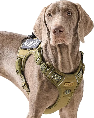 Vista 22 de Arnés para perro sin tirones para perros de tamaño pequeño, chaleco ajustable para caminar fácilmente, material Oxford transpirable, tiras Verde