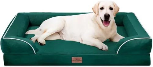 Vista 118 de Comfort Expression - Cama ortopédica para perros medianos, 28 x 19 pulgadas, cama impermeable y de apoyo de espuma con cojines removibles, sofá