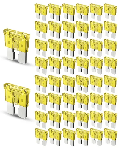 Vista 9 de Riseuvo 50 piezas fusibles estándar para automóvil de 2A - Fusibles automotrices de 2 amperios (ATO/APR/ATS), 32V (12/24V) Fusible de cuchilla