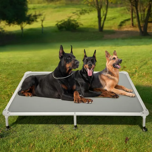 Vista 45 de Veehoo Cama elevada para perros a prueba de mordidas - Cuna elevada refrescante para mascotas - Marco de aluminio plateado y tela de malla