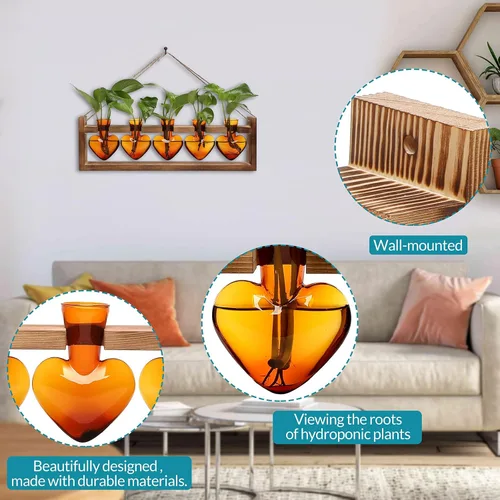 Vista 4 de Estaciones de propagación colgantes de terrario para plantas, regalo para mujeres, soporte para plantas de aire con soporte de madera, cristal