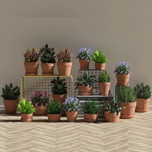 Vista 5 de Fcacti Macetas de terracota poco profundas de 2.7 pulgadas para suculentas, paquete de 30 macetas de arcilla terracota con drenaje, macetas