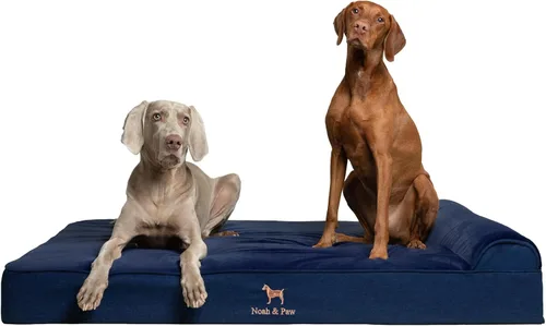 Vista 8 de NOAH & PAW Cama pequeña para perros, 20 x 15 x 6.5 pulgadas, cama para gatos de interior, espuma viscoelástica ortopédica de cáscara de huevo Verde