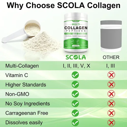Vista 6 de SCOLA Péptidos de colágeno en polvo - Tipo I, II, III, V, X - Péptidos de colágeno hidrolizados con vitamina C ácido hialurónico, apoya la piel