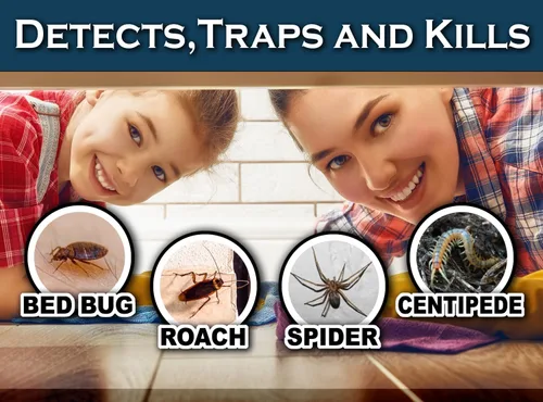 Vista 4 de MaxGuard Trampas para insectos de cama (24 trampas) Trampas de detección de chinches no tóxicas. Detecta, atrapa y mata chinches e insectos