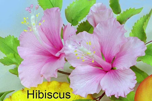Vista 3 de Juego de cortador de pétalos de hibisco, cáliz y hojas de WSA