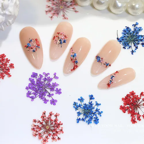 Vista 4 de 2 cajas de flores secas para uñas, mini flores de uñas reales 3D, flores secas, calcomanías de uñas, decoración de uñas, decoración de manicura
