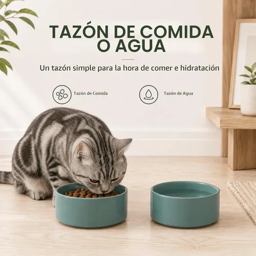 Vista 7 de Havniva Juego de 2 cuencos para gatos de cerámica de 5.1 pulgadas, cuenco