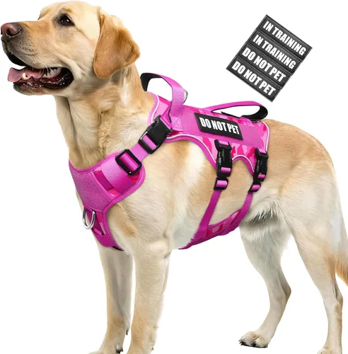 Vista 9 de WINSEE - Arnés para perro a prueba de fugas, arnés Molle de servicio y trabajo con doble asa, chaleco táctico para mascotas con 4 parches