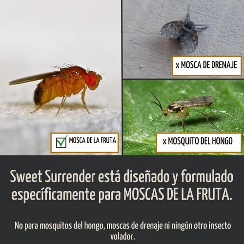 Vista 2 de Dr. Killigan’s Repelente Líquido de Recambio para Moscas de la Fruta - Protección Duradera de 24 Semanas, Funciona con Trampas de Manzana, Apto
