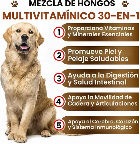Vista 3 de Suplemento de hongo de cola de pavo para perros, 170 masticables, hongos para perros, Reishi, melena de león, multivitamínico de glucosamina