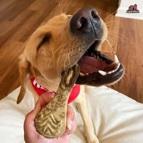 Vista 6 de Redbarn Pet Products Chew-A-Bulls (Talla: Grande, Forma: Cepillo, 6 unidades (Caja de 10))
