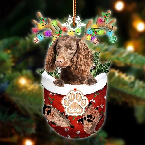 Vista 31 de NAZENTI Adorno Navideño de Bolsillo Personalizado de Affenpinscher en la Nieve, Adorno de Forma Acrílica de Perro, Adorno de Navidad 2023, Adorno