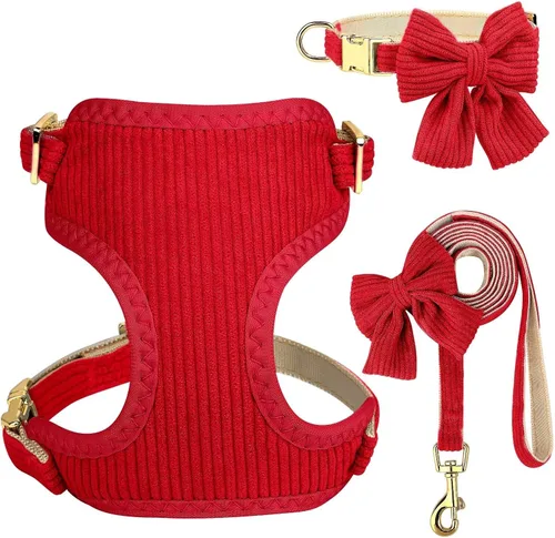 Vista 12 de Didog Lindo Arnés para Perro Pequeño con Collar y Correa con Moño, Arnés para Cachorros de Malla Suave y Transpirable Acolchado, Arnés para Perros