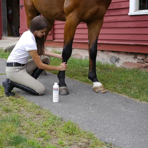 Vista 3 de Absorbine Bigeloil Liniment Gel, refrescante tópico para dolores musculares, articulaciones y dolor de artritis, botella de 14 onzas