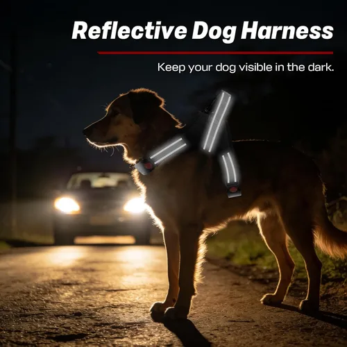Vista 4 de Arnés para perro, chaleco para mascotas sin tirones, tira reflectante a prueba de escape, fácil de ajustar, arnés para perro con función a prueba
