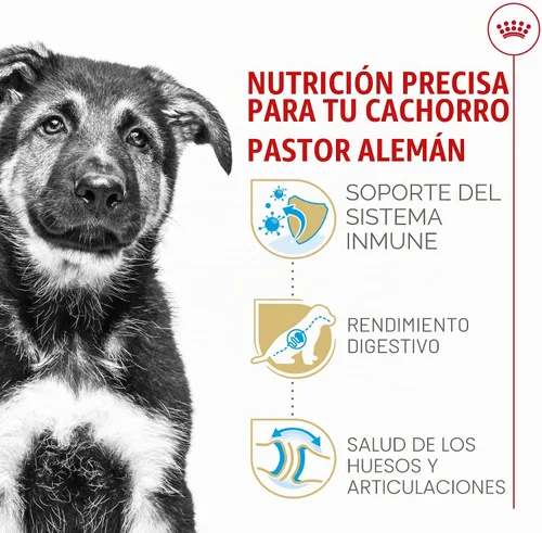Vista 4 de Royal Canin Breed Health Nutrition - Alimento seco para perros pastor alemán, 2.5 libras